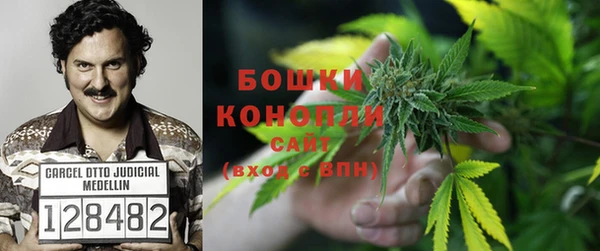 тгк Балабаново