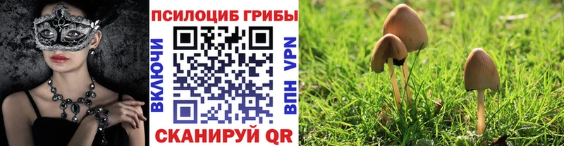 Псилоцибиновые грибы мицелий  Холмск 